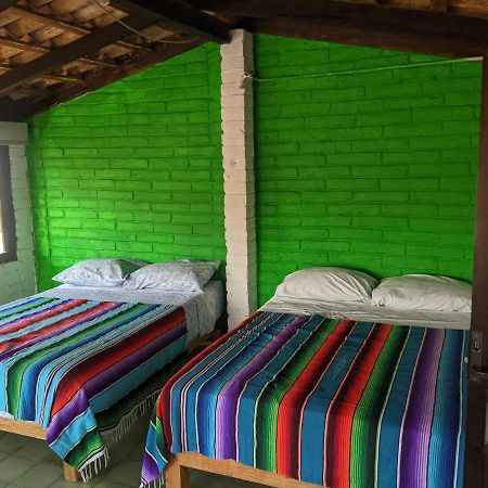 מלון פוארטו ואלארטה Casa Frida Vallarta מראה חיצוני תמונה